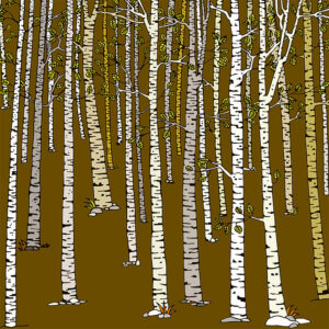 grand carnet postale foret brun vert