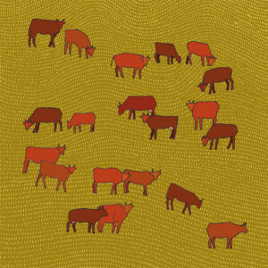 grand carnet postale les vaches