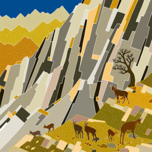 grand carnet postale famille de chamois