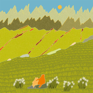 grand carnet postale marmottes narcisses ete