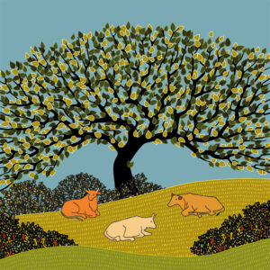 grand carnet postale grand arbre ete