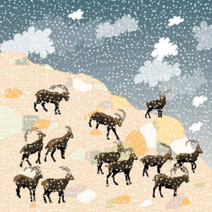 grand carnet postale bouquetins hiver