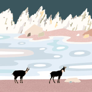 grand carnet postale lac gele deux chamois