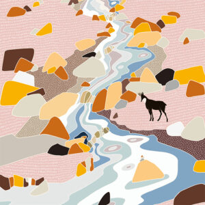 grand carnet postale torrent alpin hiver