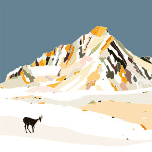 grand carnet postale Dent Parrachee hiver