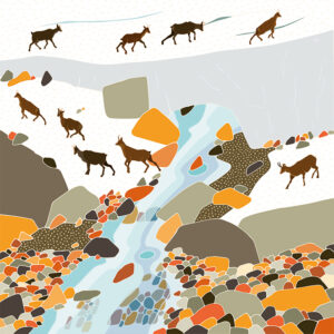 grand carnet postale glacier chamois