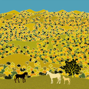 grand carnet postale collines boisees ete