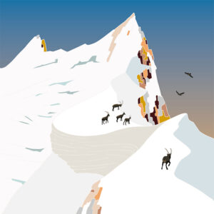 grand carnet postale la corniche animaux