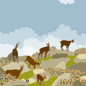 grand carnet chamois nuages