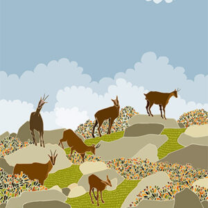 petit carnet chamois nuages