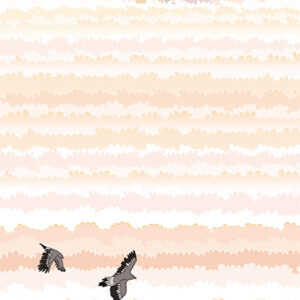 petit carnet Mont Blanc nuages